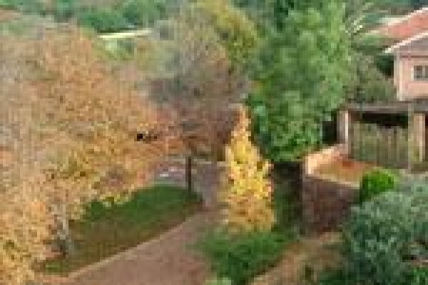 Pin Oak Lodge