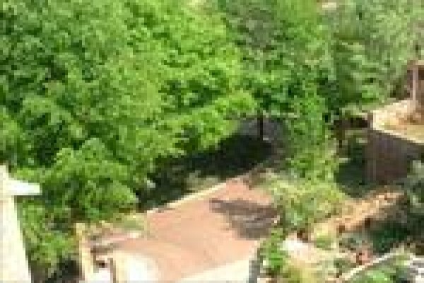 Pin Oak Lodge