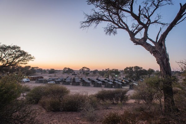 Tented Camps
