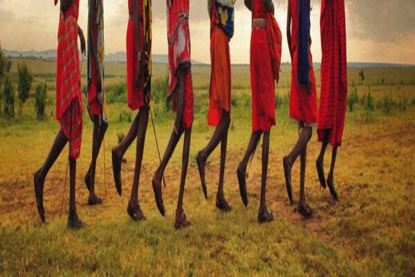 Tribe