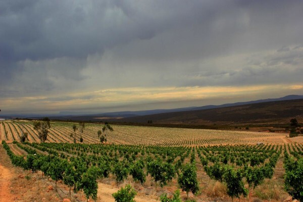 Ysterfontein