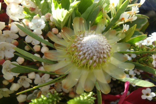 Heaven Scent Nursery