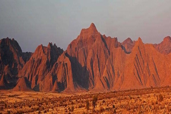Africa 2000 Tours