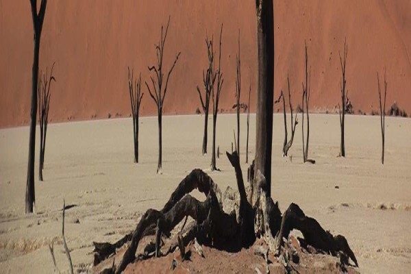 Africa 2000 Tours