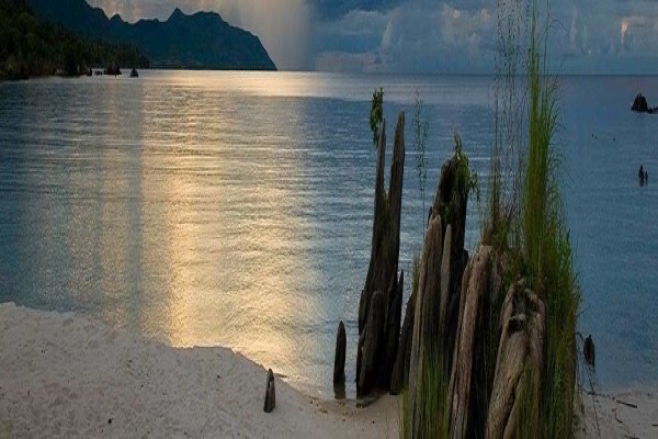 Africa 2000 Tours