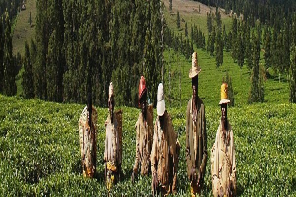 Africa 2000 Tours