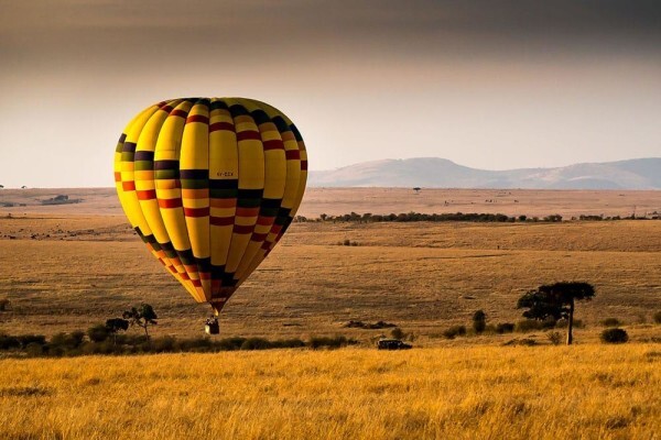 Africa 2000 Tours