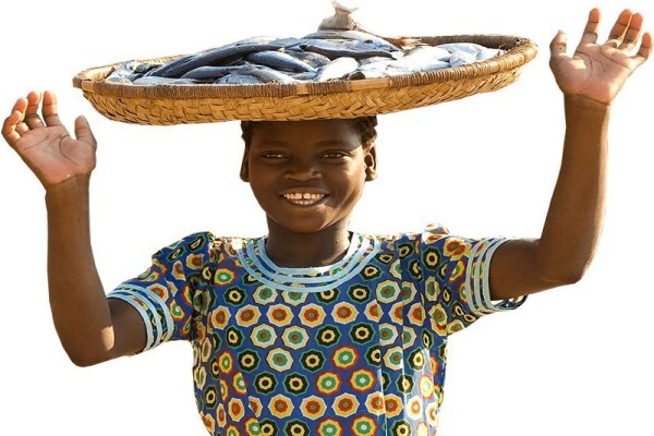 Africa 2000 Tours