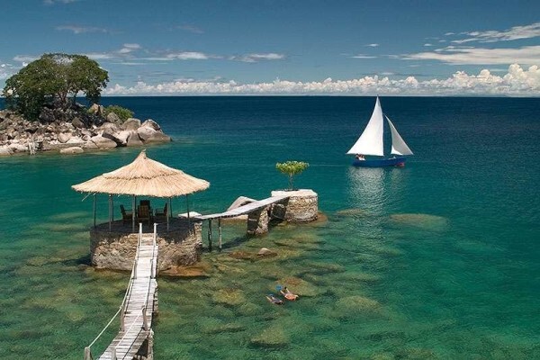Africa 2000 Tours