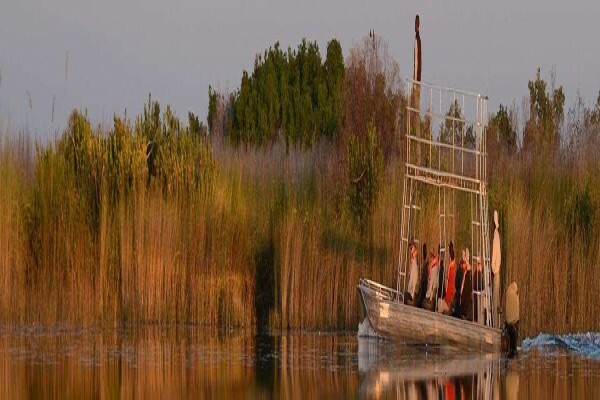 Africa 2000 Tours