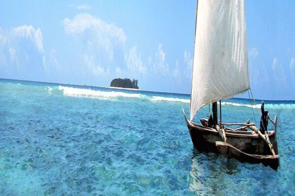 Africa 2000 Tours