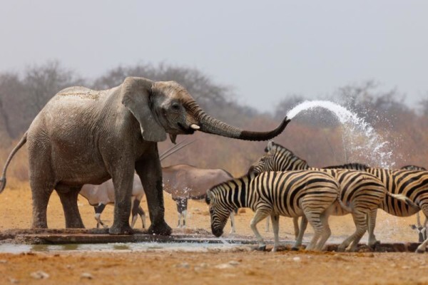 Detour Africa