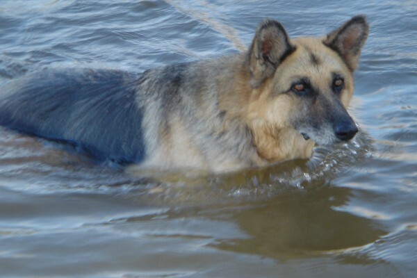 Heaven Scent Nursery