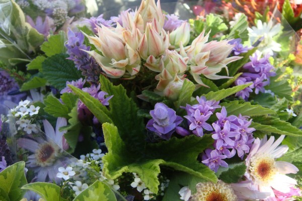 Heaven Scent Nursery