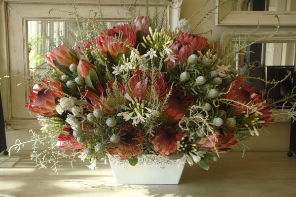 Heaven Scent Nursery
