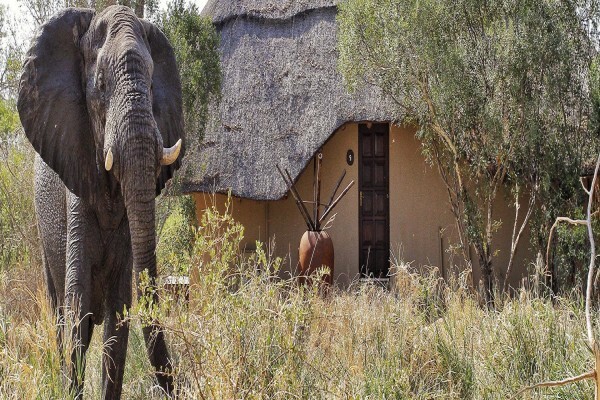 Kambaku Lodge