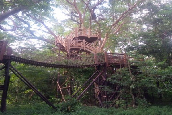 Leisure Deck