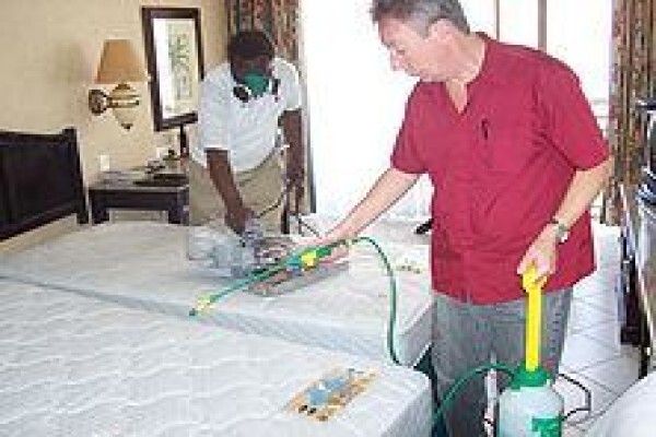 Mattress Clean