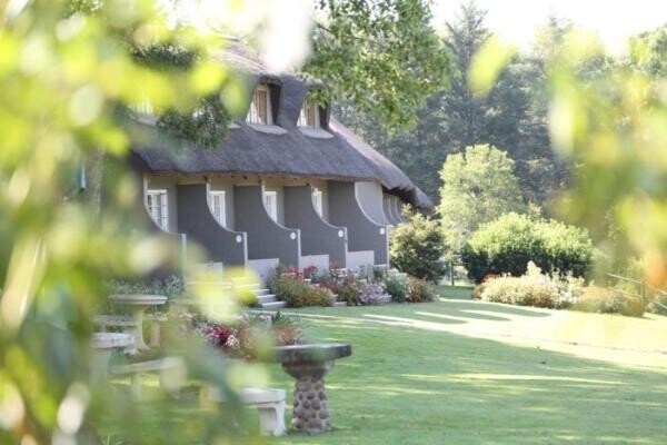 The Nest B&B Aliwal North