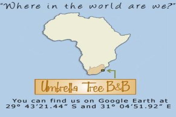 Umbrella Tree