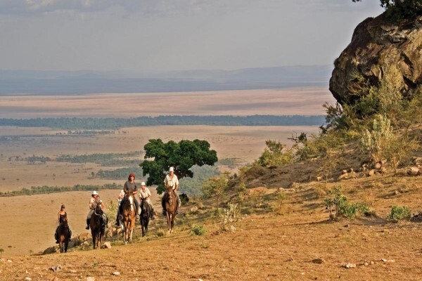 African Safari