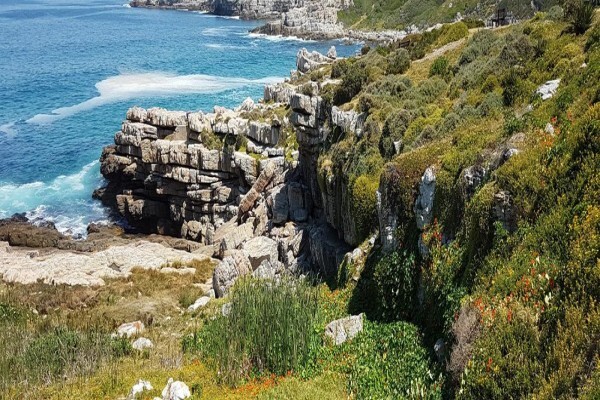 Beach House Properties