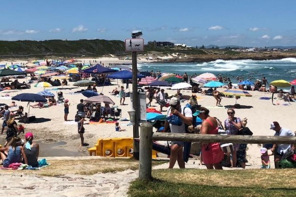 Beach House Properties