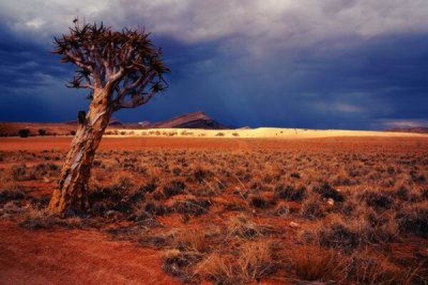Openroadtours