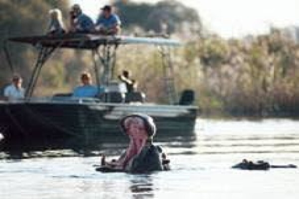 African Olive Travel Concepts