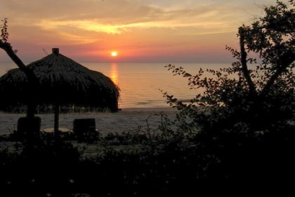 African Olive Travel Concepts