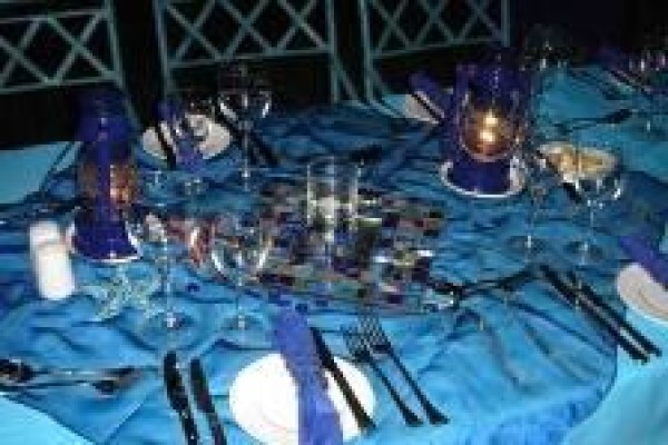 African Olive Travel Concepts