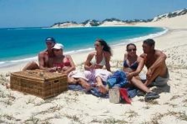 African Olive Travel Concepts