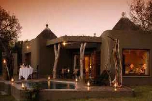 African Olive Travel Concepts