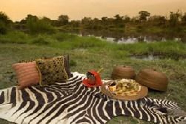 African Olive Travel Concepts