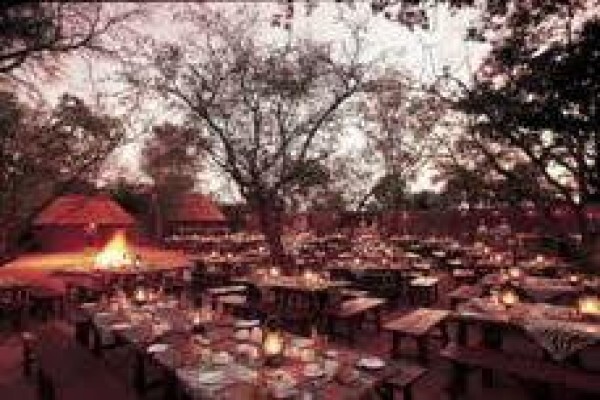 African Olive Travel Concepts