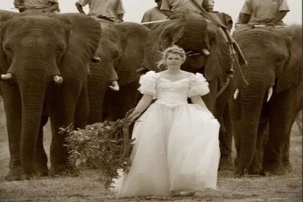 African Olive Travel Concepts