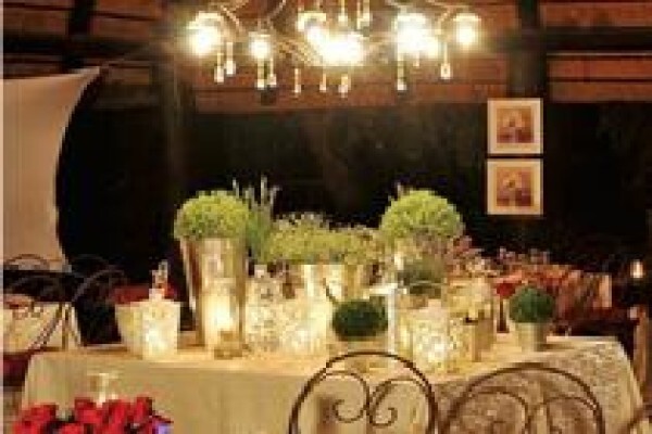 African Olive Travel Concepts