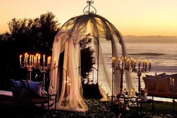 African Olive Travel Concepts