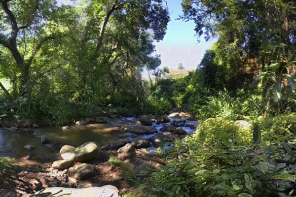 Brevisbrook