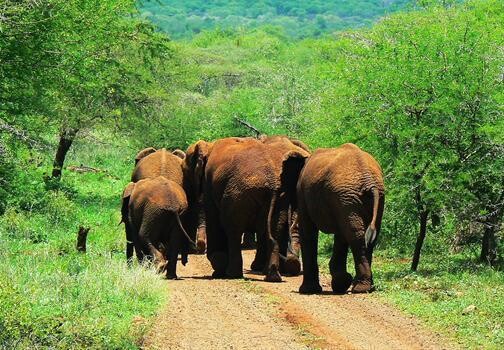 Esikhotheni Private Game Reserve