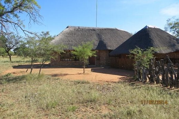 Isilwane