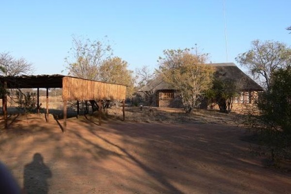 Isilwane