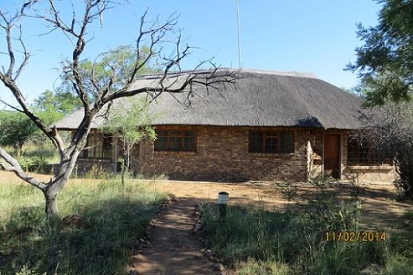 Isilwane