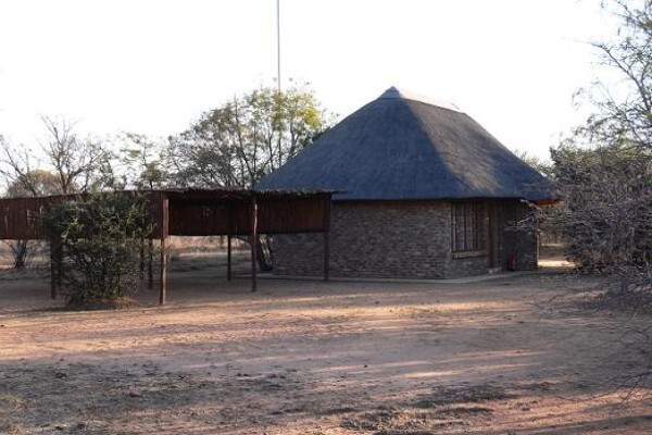 Isilwane