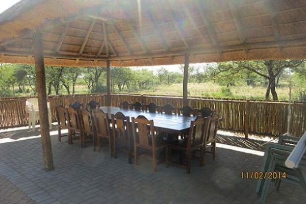 Isilwane