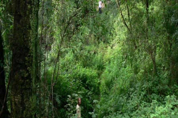 Magoebaskloof Camping & Caravaning