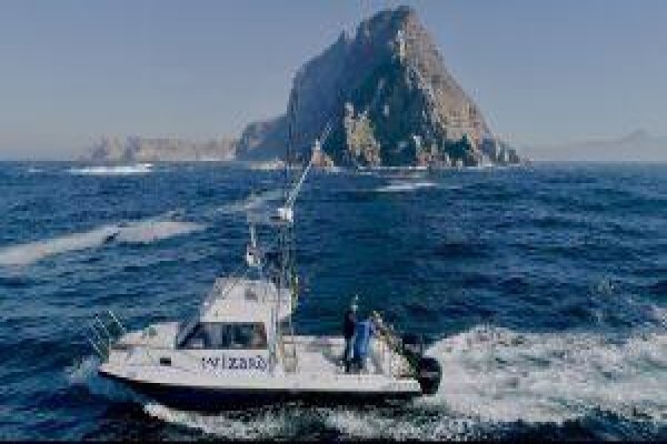 Offshore Sportfishing Charters