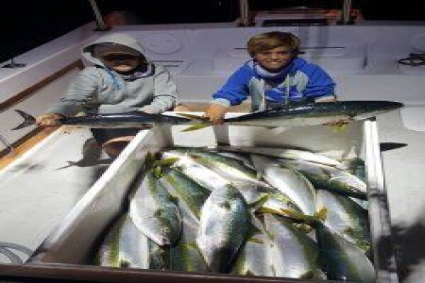 Offshore Sportfishing Charters