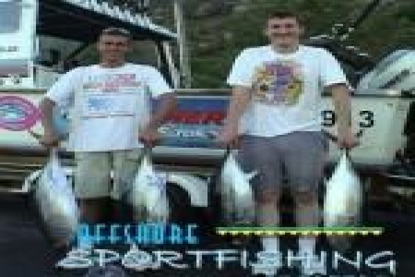 Offshore Sportfishing Charters