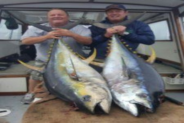 Offshore Sportfishing Charters